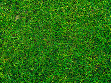 Green Grass Texture Background Top View Of Bright Grass Garden Idea Concept Used For Making Green Backdrop. Lawn For Training Football Pitch. Green Lawn Pattern Textured Background.