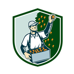 Sticker - Fruit Picker Worker Picking Plum Shield