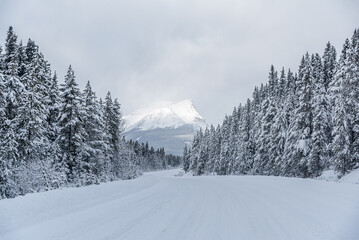 Wall Mural - Icefields Pkwy