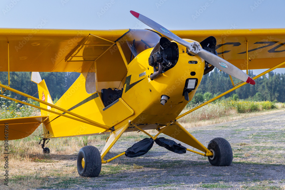 Piper J3 Yellow Cub ノーマルウィング Normal wing Piper j3 yellow cub 未使用