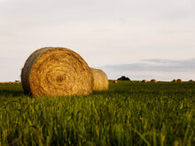 An Oklahoma Field In The Fall Shot From A Low Angle In The Fall. Golden Hour Sky With Green Grass. Two Haybales 