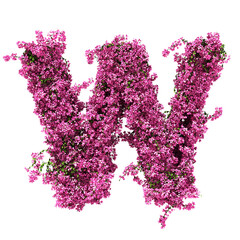 Wall Mural - 3d rendering of Bougainvillea alphabet isolated