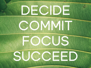 Wall Mural - Inspirational quote - decide commit focus succeed text on green background.