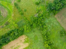 Aerial Top Shot Of A Green Countryside Landscape With Trees And Meadow