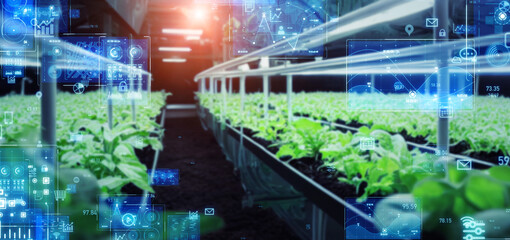 Poster - Plant factory and technology. Wide image for banners, advertisements.