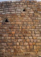 Poster - Close up of Wall Pattern Texture