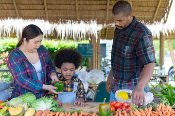 family having fun in the garden, agricultural family father mother and son Sorting fruits and vegetables from the farm