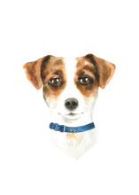 Watercolor  Jack Russell  Illustration, Cute Dog Breed, Hipster Portrait,funny Character, Cartoon Dog In Costume,clothes, Accessories, Hat, Poster, Card, Invite, Print,printable, Flyer,it's A Boy,diy