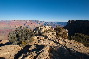 Wall Mural - Grand Canyon National Park Grand Canyon National Park Sky Plant Natural landscape Bedrock