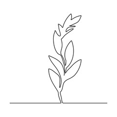 Wall Mural - Continuous line drawing of tree on white background. Vector illustration