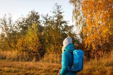 Wall Mural - tourist with backpack walking in fall forest. woman hiking in autumn nature