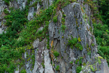 Sheer Basalt Cliffs Overgrown With Lush Vegetation