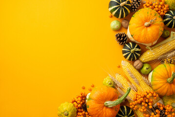 Autumn harvest concept. Top view photo of raw vegetables pumpkins pattypans corn pear rowan berries walnuts wheat and pine cones on isolated orange background with copyspace