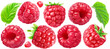 Set of ripe raspberries with leaves. PNG with transparent background.