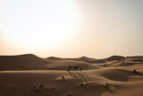 Fototapeta  - Dunes in the Sahara desert at sunset, the desert near the town of Merzouga, a beautiful African landscape
