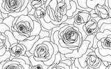 Fototapeta Tulipany - Abstract seamless pattern with roses. Beautiful blossoming hand drawn flower with bud on white background. Line art for wedding design. Vector stock illustration