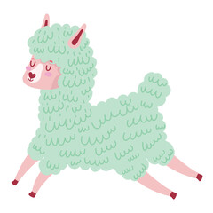 Poster - sweet cute llama