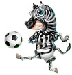 zebra che gioca a calcio