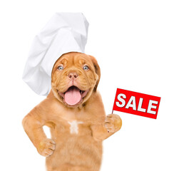 Poster - Happy puppy wearing chef's hat shows signboard with labeled 