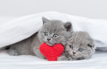 Sticker - Two cute kittens lying on a bed at home and holding red heart