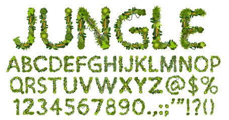 Poster - Cartoon jungle lianas font, typeface, type alphabet. Vector abc uppercase letters, digits and punctuation signs. English or latin symbols of green palm tree leaves and branches, isolated typeset