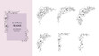 © Mimi Art Smile - Botanical decorative frame design set . Hand drawn floral borders and divider with branch vector illustration on white isolated background. Elegant line.