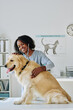 © AnnaStills - African young vet examining dog with stethoscope on table at vet clinic