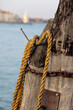 Wooden pillars with old rope and chain in sea at Venice dock. Large wooden logs, breakwaters in Venezia, Italy