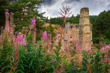 Sticker - Shildon Engine House behind Rosebay Willowherb, a rare example of a steam pumping engine house classed as an Ancient Monument in the North Pennines AONB, near Blanchland