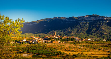 Wall Mural - panoramic view of Ulldemolins, in Spain