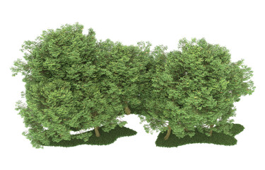 Wall Mural - Forest on transparent background. 3d rendering - illustration