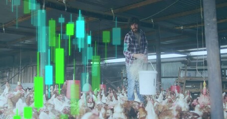 Sticker - Animation of financial data processing over caucasian man feeding chickens