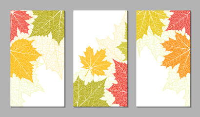 Wall Mural - floral vector templates with autumn leaves. plant print for holiday stories, greeting cards, banners