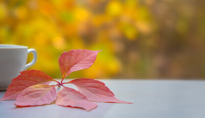 Wall Mural - Cup of coffee with red fallen leaves on natural background of autumn foliage with copy space. Close-up with warm backlight and bokeh.