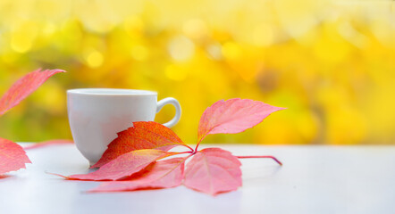 Wall Mural - White coffee cup with red fall leaves on natural autumn background with copy space. Close-up with warm backlight and bokeh.