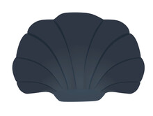 Black Sea Shell. Vector Illustration