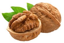 Walnuts With Leaves Isolated