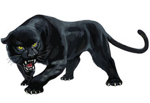 Leopard Jaguar Black Panther Wildlife Background Poster