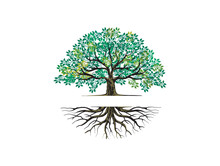 Tree And Roots Logo Templates With Circular Shape, Oak Tree With The Gap Between The Tree And The Root To Fill In The Writing.