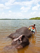 © Matthew Wakem - Elephant Bathing at Kandalama Lake. Dambulla, Sri Lanka.