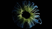 Abstract 3d Render Of Blue And Green Iris
