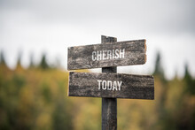 Vintage And Rustic Wooden Signpost With The Weathered Text Quote Cherish Today, Outdoors In Nature. Blurred Out Forest Fall Colors In The Background.