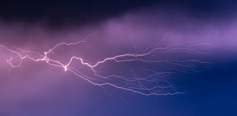 Wall Mural - strongly branched lightning bolt high in the sky