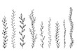 Leafs plants hand draw vector. Drawing beautiful  creeper leaf, decorative set