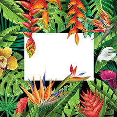 Wall Mural - Border with tropical plants and flowers