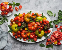 Top View Of Platter Of Tomatoes And Basil On Grey Background..