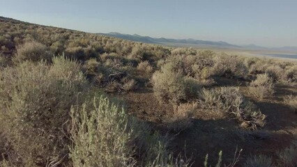 Wall Mural - Hiking through desert near mono lake California 