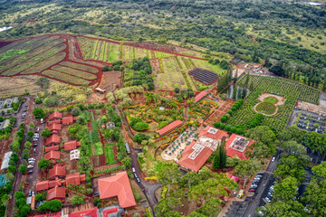 Canvas Print - Aerial View of a popular Pineapple Plantation on Oahu Island, Hawaii