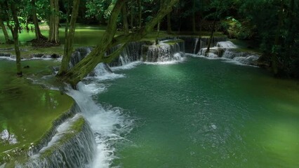 Wall Mural - beautiful water fall and Leaf natural leaves and stream green forest in the  mountain concept back ground cover page environment ecology or nature wallpaper