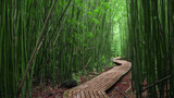 Fototapeta Do pokoju - bamboo forest